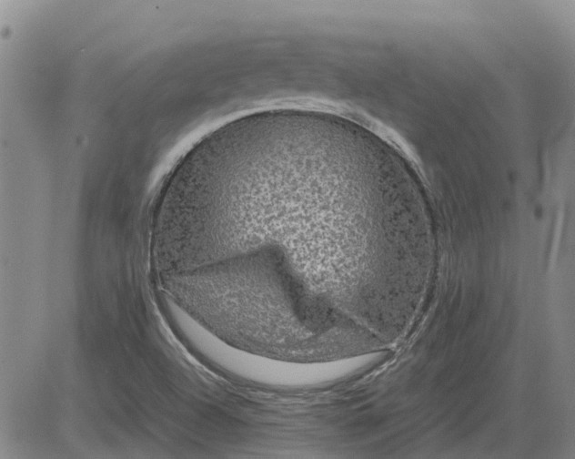 X0000084031504200703022109