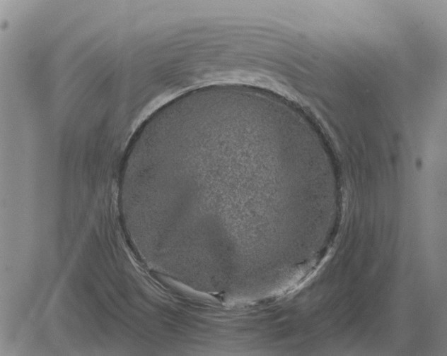 X0000084031505200703022109