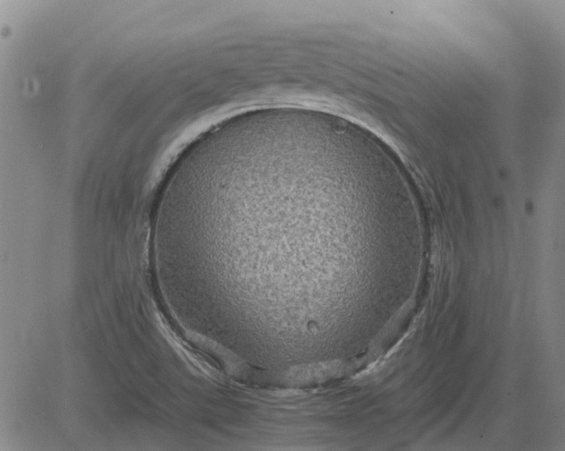 X0000084031507200703022109