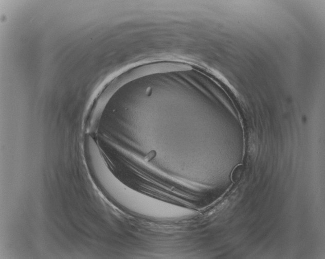 X0000084031508200703022109