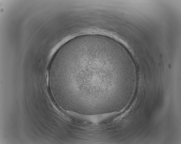 X0000084031509200703022109