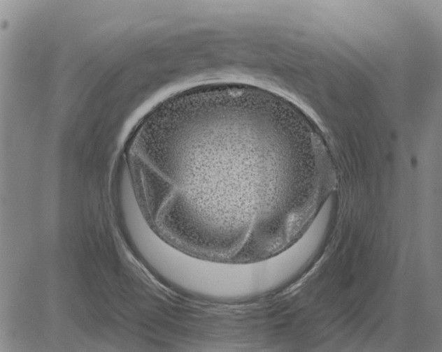 X0000084031510200703022109