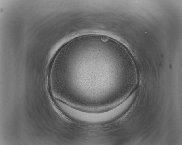 X0000084031511200703022109