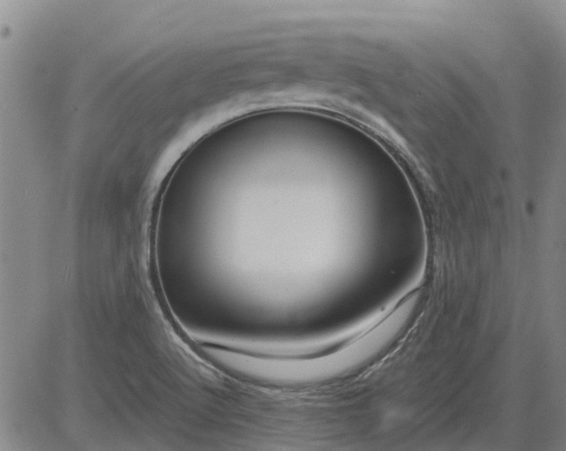 X0000084031512200703022109