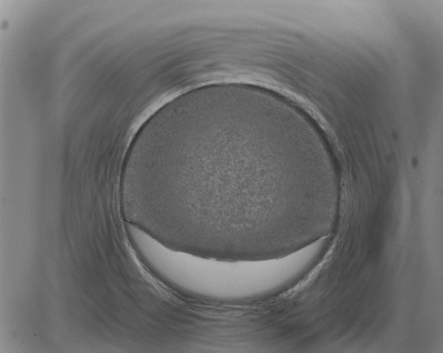 X0000084031513200703022109