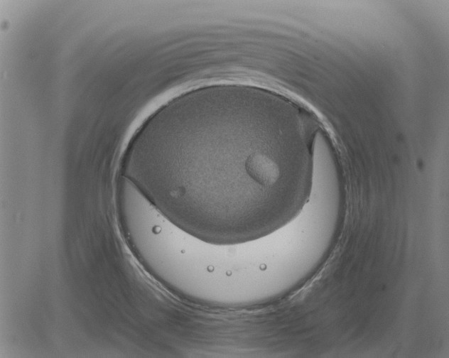 X0000084031514200703022109