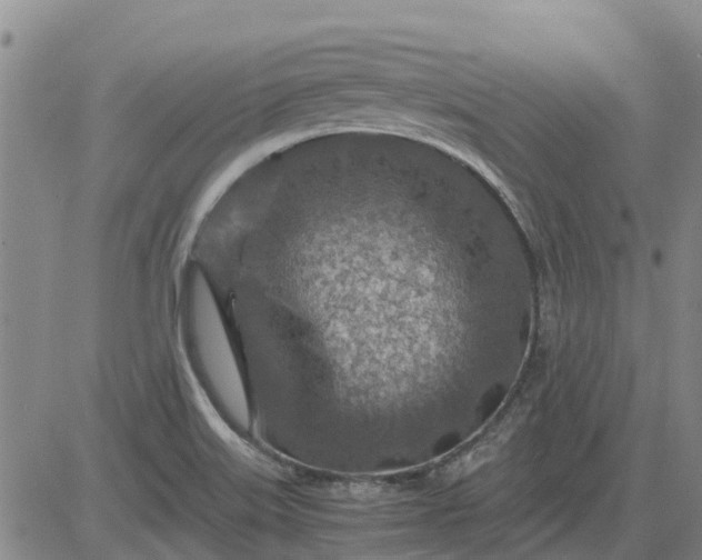 X0000084031515200703022109