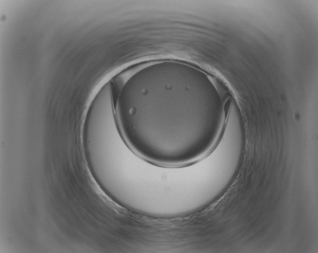 X0000084031516200703022109