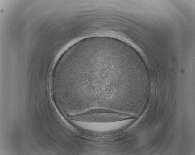 X0000084031517200703022109