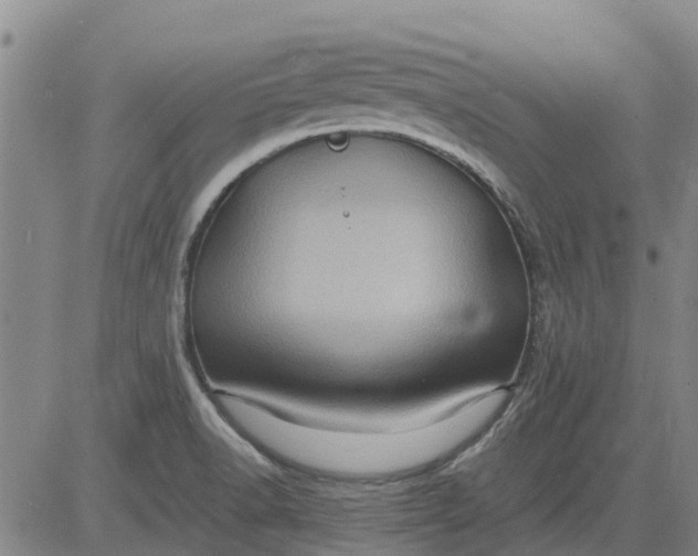 X0000084031518200703022109