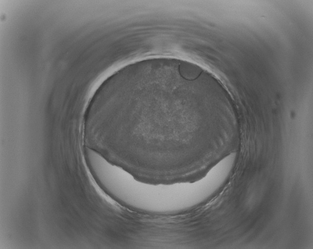 X0000084031519200703022109