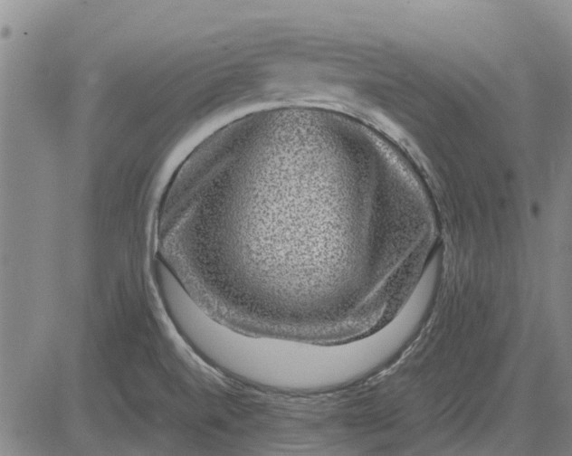 X0000084031520200703022109