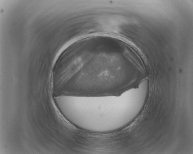 X0000084031522200703022109