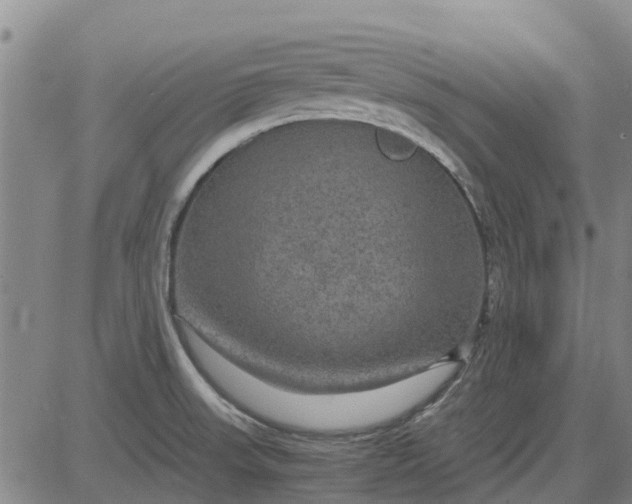 X0000084031523200703022109