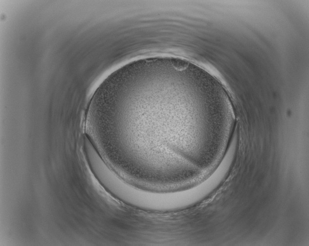 X0000084031524200703022109