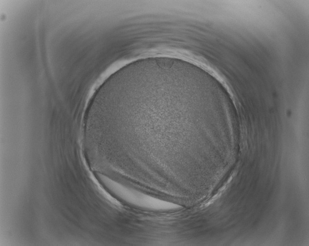 X0000084031525200703022109