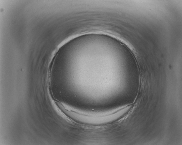 X0000084031526200703022109