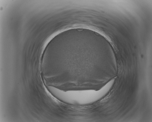 X0000084031527200703022109