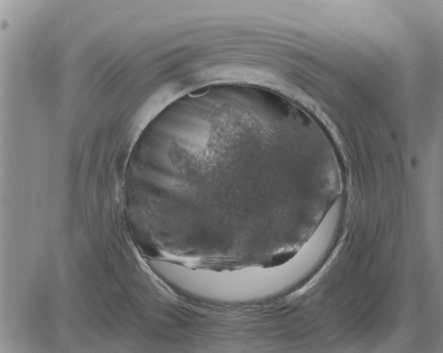 X0000084031529200703022109