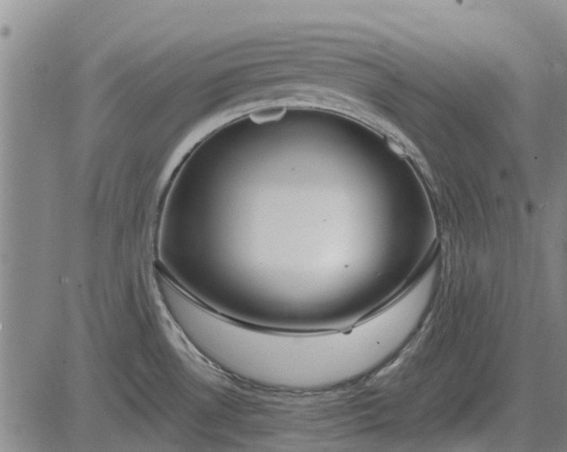 X0000084031530200703022109