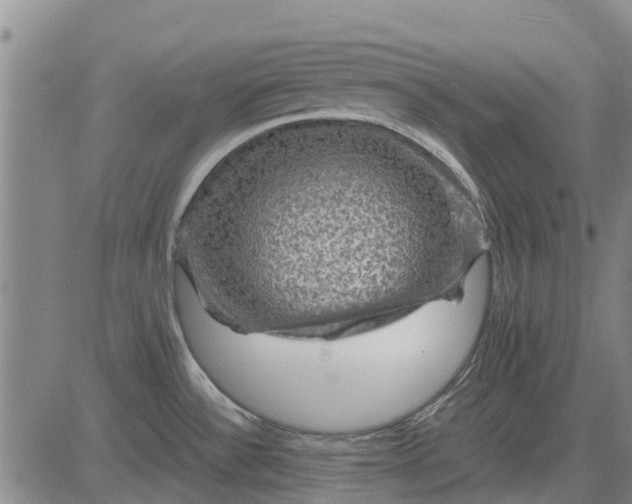 X0000084031532200703022109