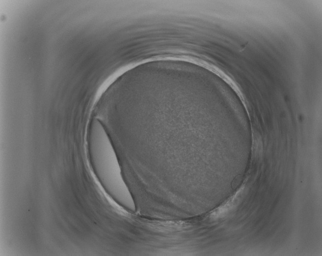 X0000084031533200703022109