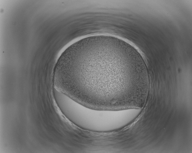 X0000084031534200703022109