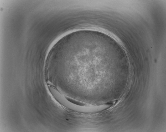 X0000084031536200703022110