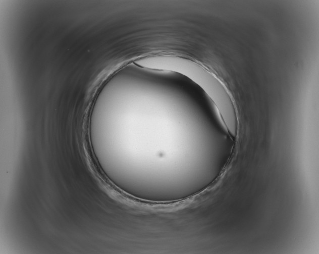 X0000084030001200703092020