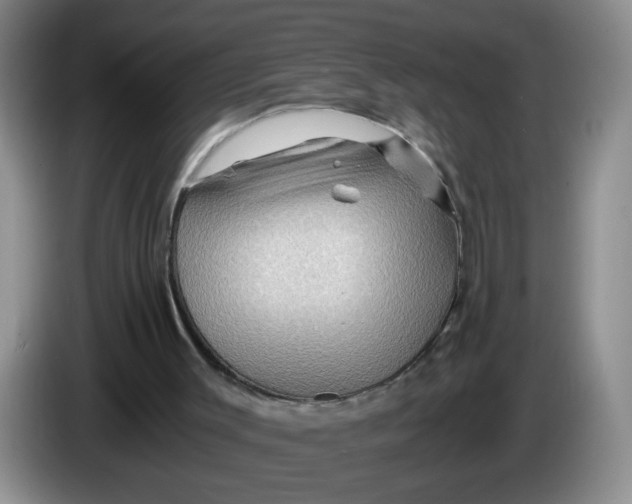 X0000084030003200703092020