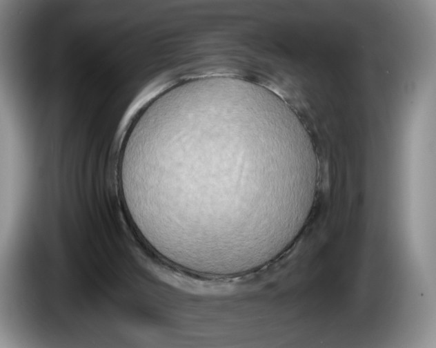 X0000084030004200703092020