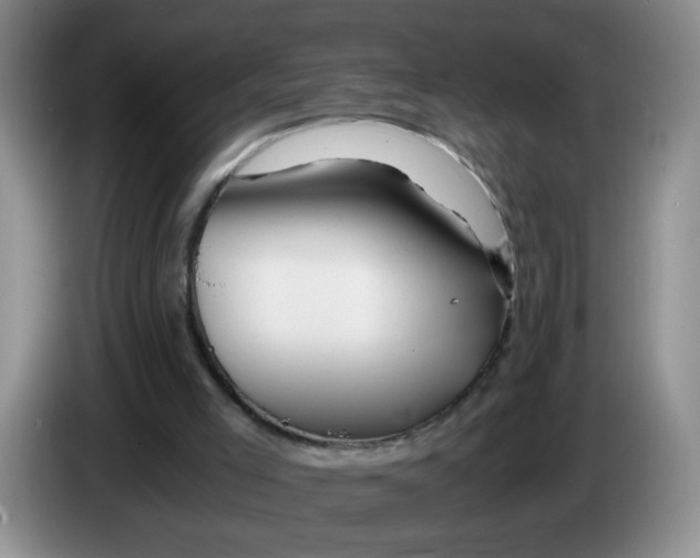 X0000084030005200703092020