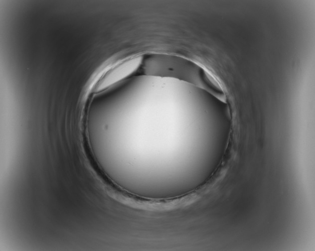 X0000084030007200703092020