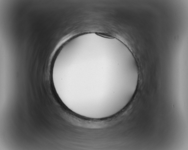 X0000084030008200703092020