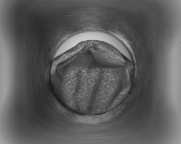 X0000084030009200703092020