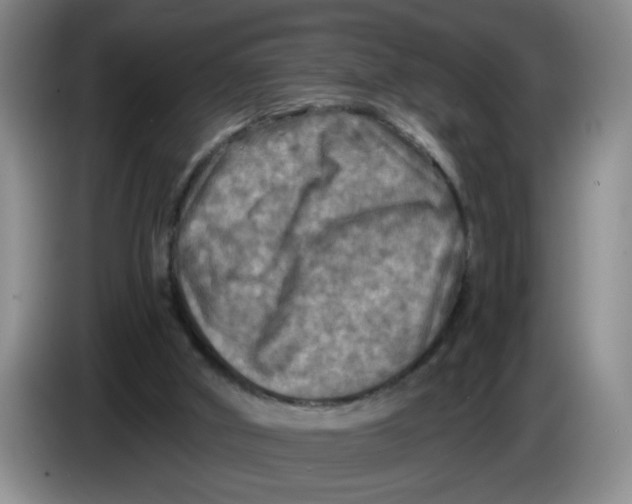 X0000084030010200703092020