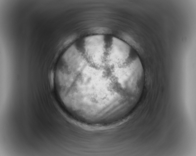 X0000084030014200703092020