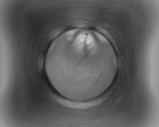 X0000084030018200703092019