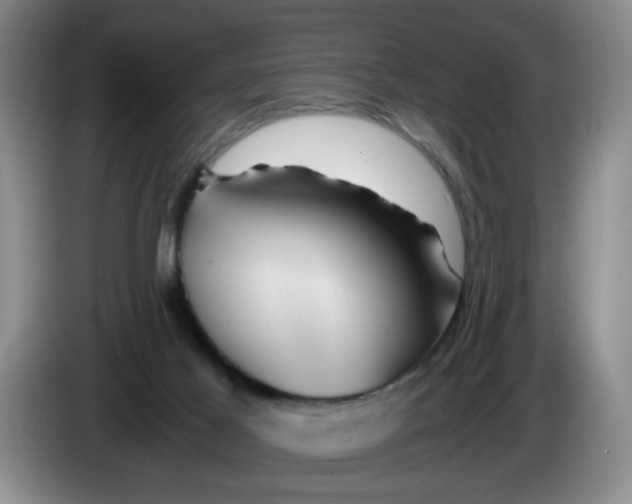 X0000084030021200703092019