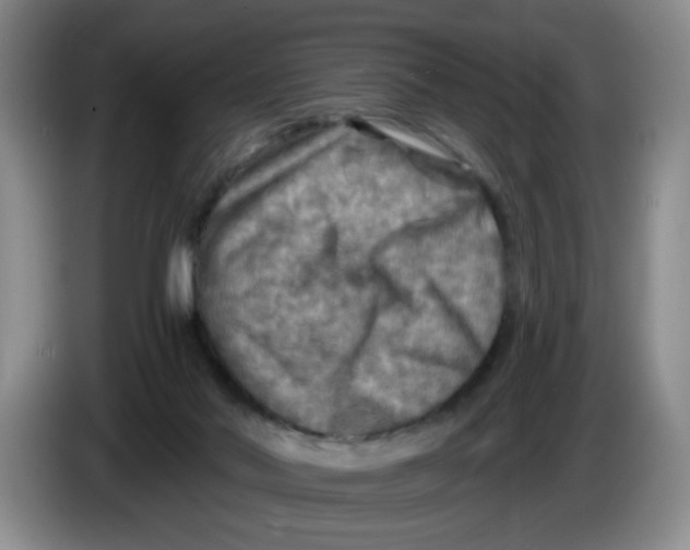 X0000084030022200703092019