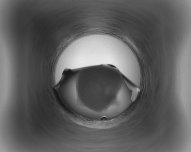 X0000084030023200703092019