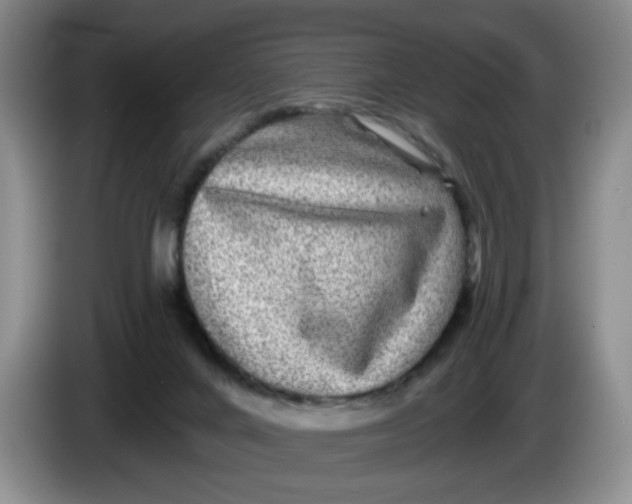 X0000084030024200703092019