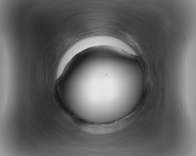 X0000084030025200703092019