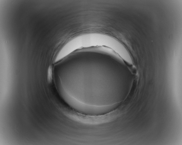 X0000084030027200703092019