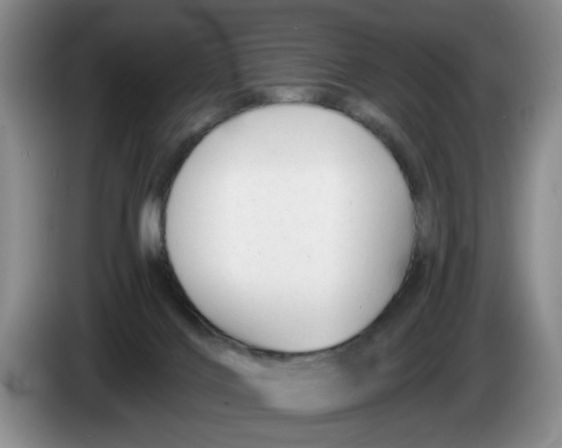 X0000084030028200703092019