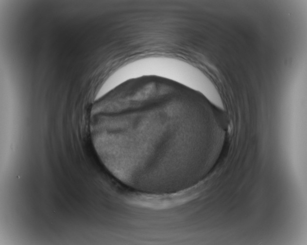 X0000084030029200703092019