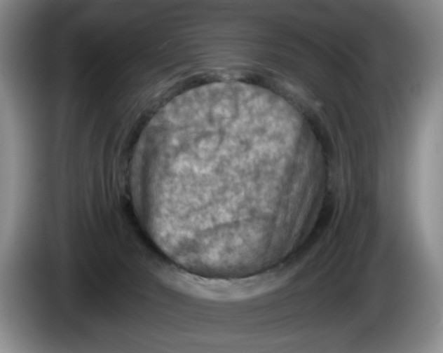 X0000084030030200703092019