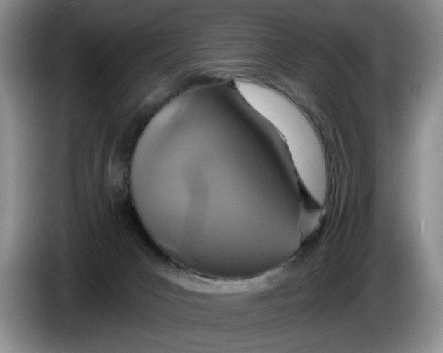 X0000084030031200703092019