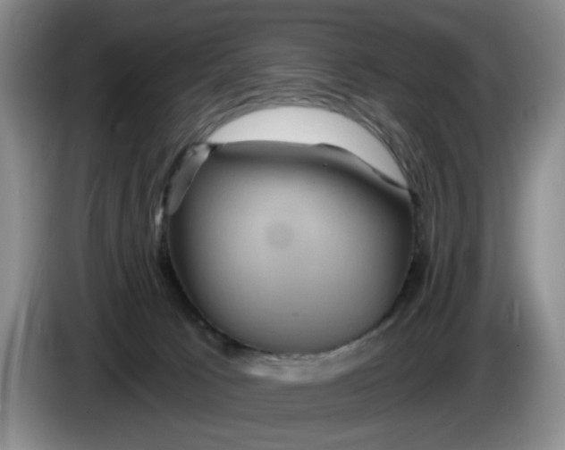 X0000084030033200703092019