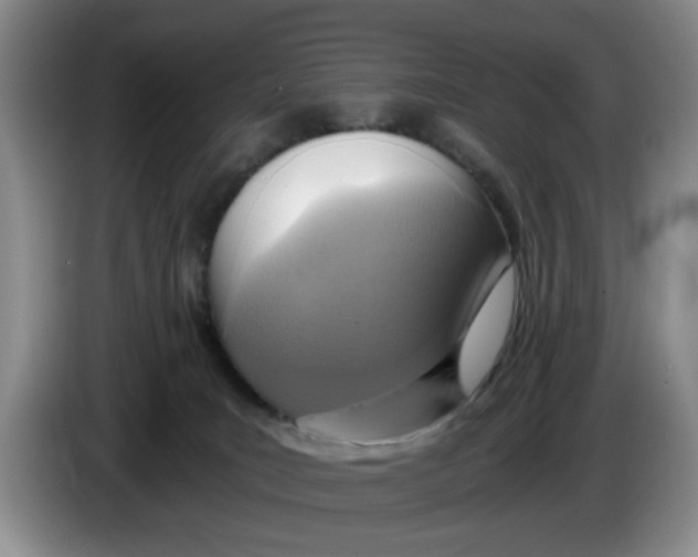 X0000084030035200703092019